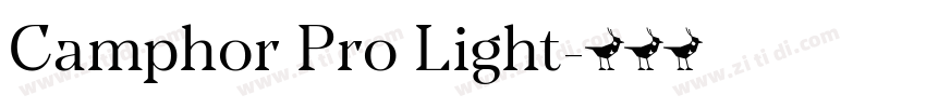 Camphor Pro Light字体转换 Camphor Pro Light字体转换